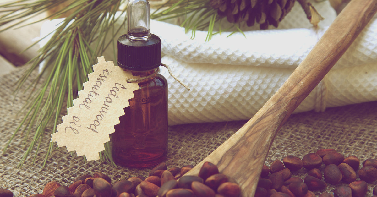 Ingredient Spotlight: Cedarwood, The Tree of Gods