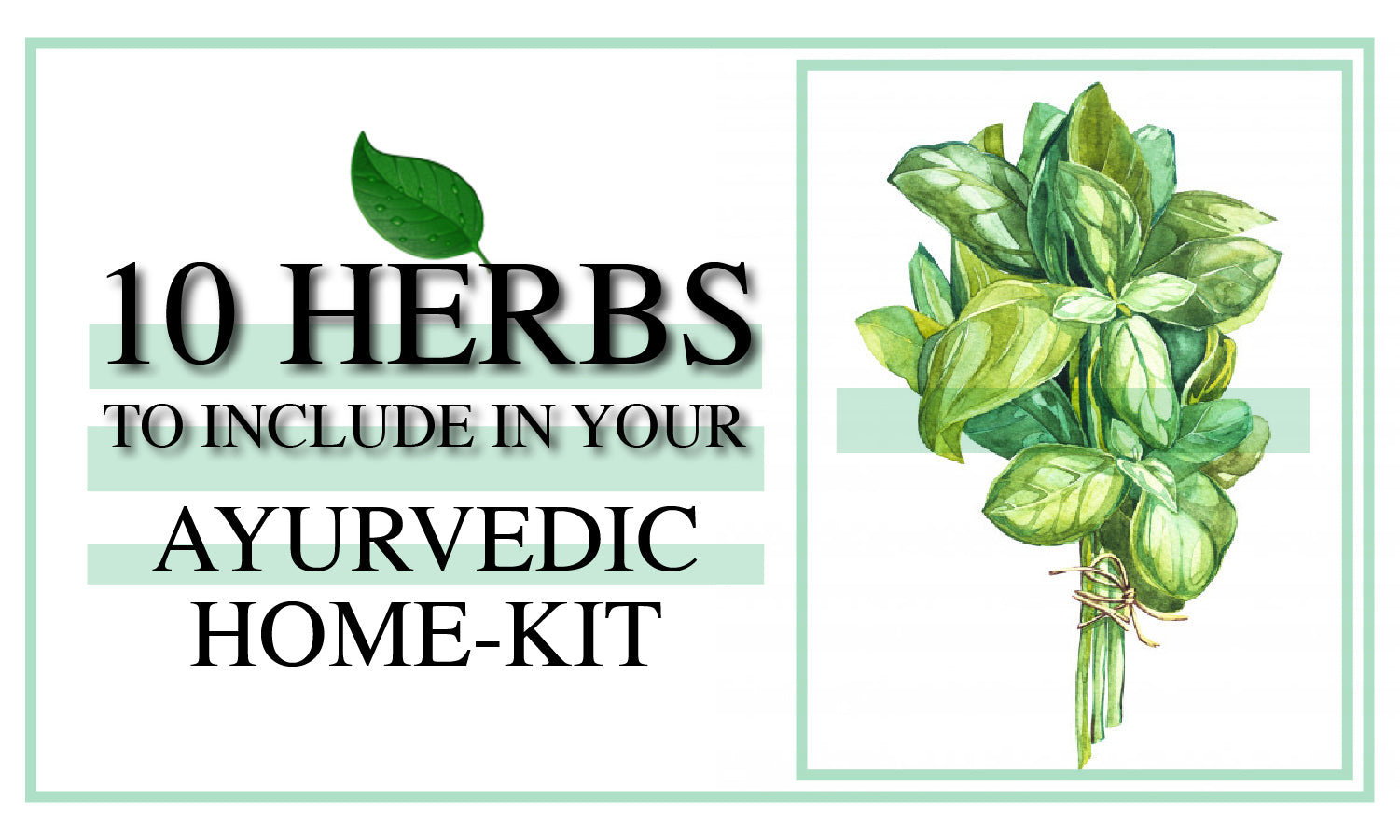 10 herbs to include in your Ayurvedic home-Kit
