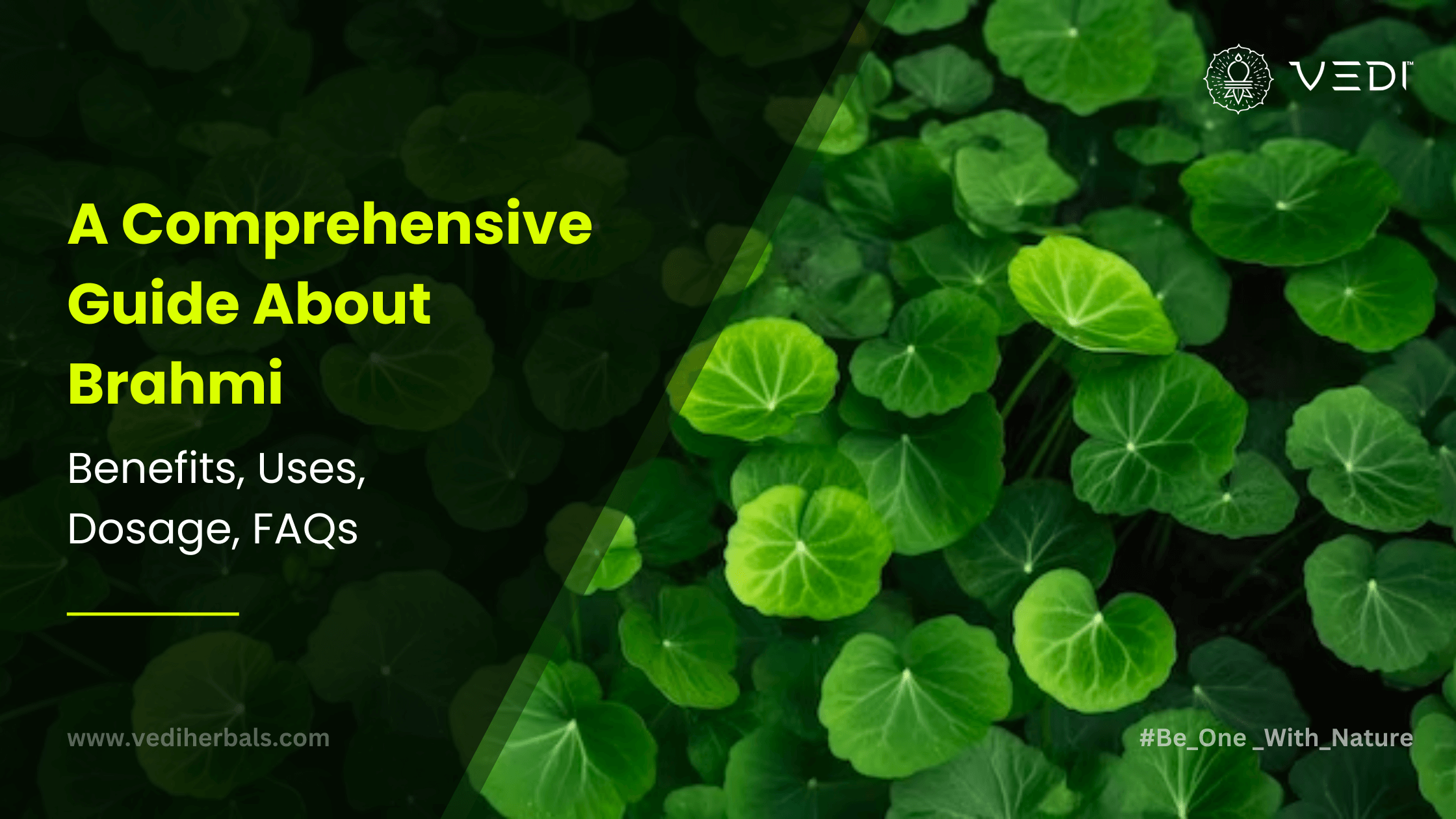 A Comprehensive Guide About Brahmi: Benefits, Usage, Doses, FAQs