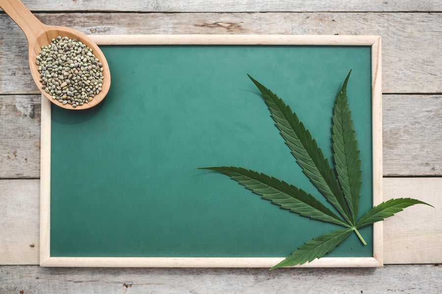 Hemp Seeds: Benefits, Nutrition, and Facts