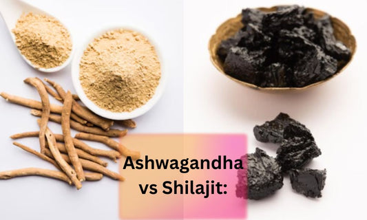 Ashwagandha vs Shilajit