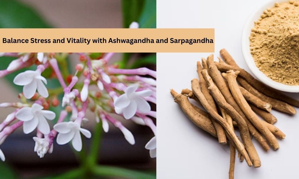 Ashwagandha and Sarpagandha: Ayurvedic Herbs 