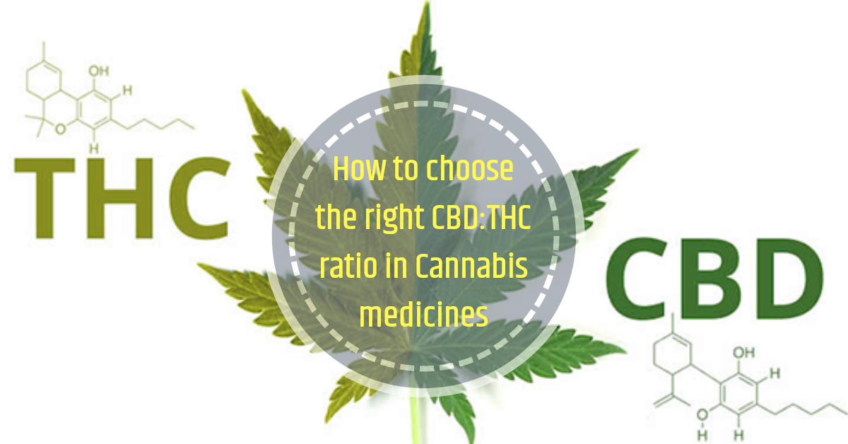 Choosing the right CBD: THC ratio in Cannabis