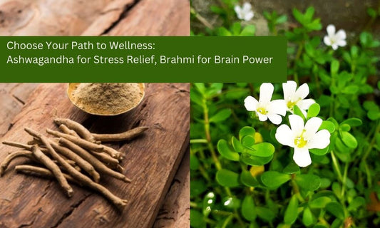 Ashwagandha vs Brahmi: Which is Better for You?