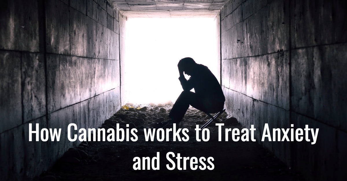 How Cannabis works to Treat Anxiety and Stress