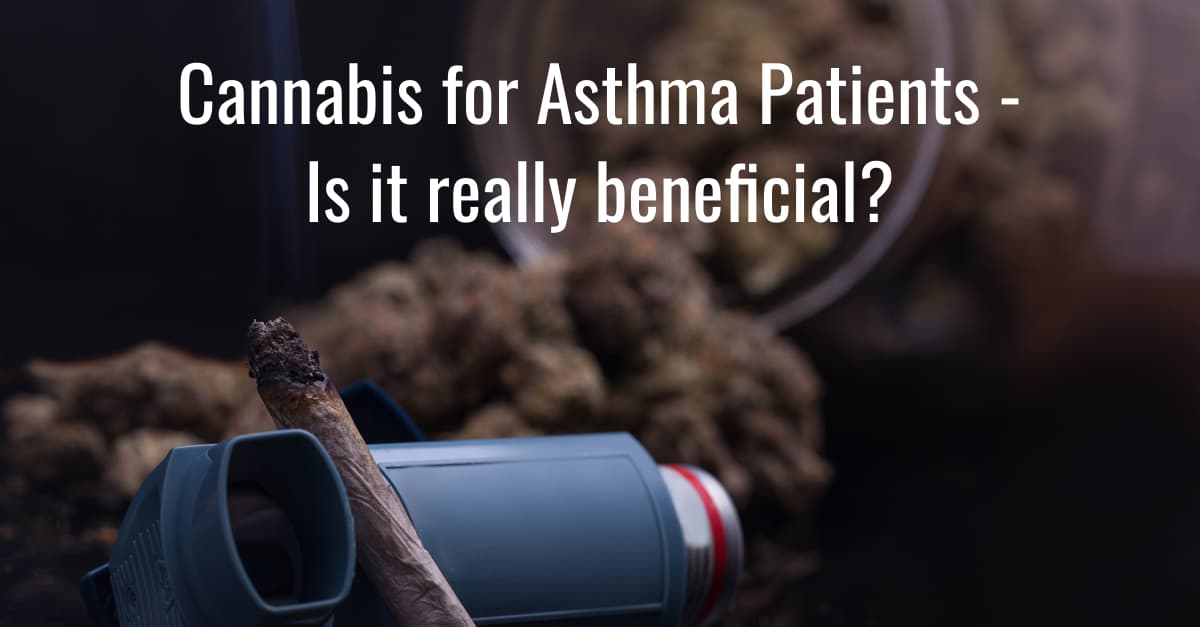 Cannabis for Asthma Patients - Is it really beneficial?