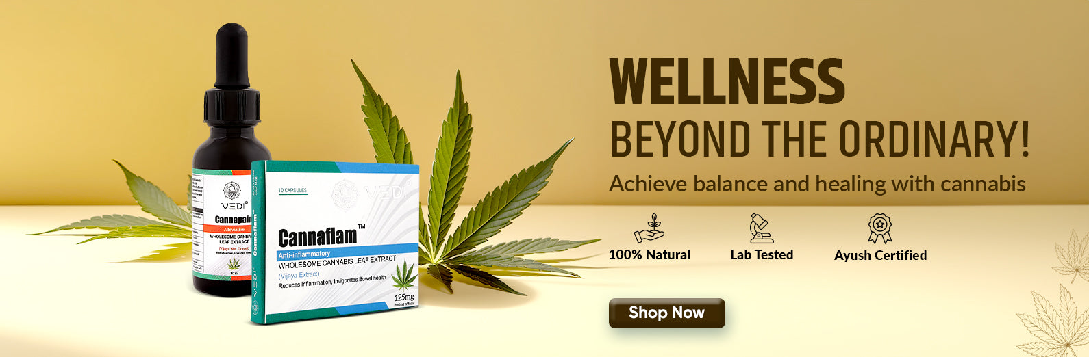 Is Cannabis a Drug or Medicine? Understanding the Legal and Scientific Debate