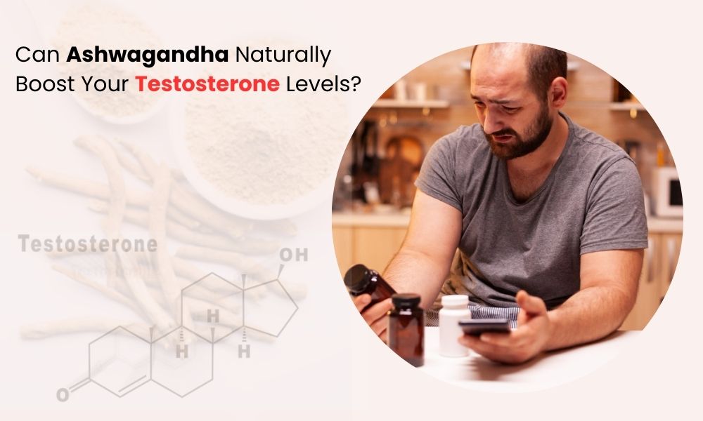 Does Ashwagandha Increase Testosterone 