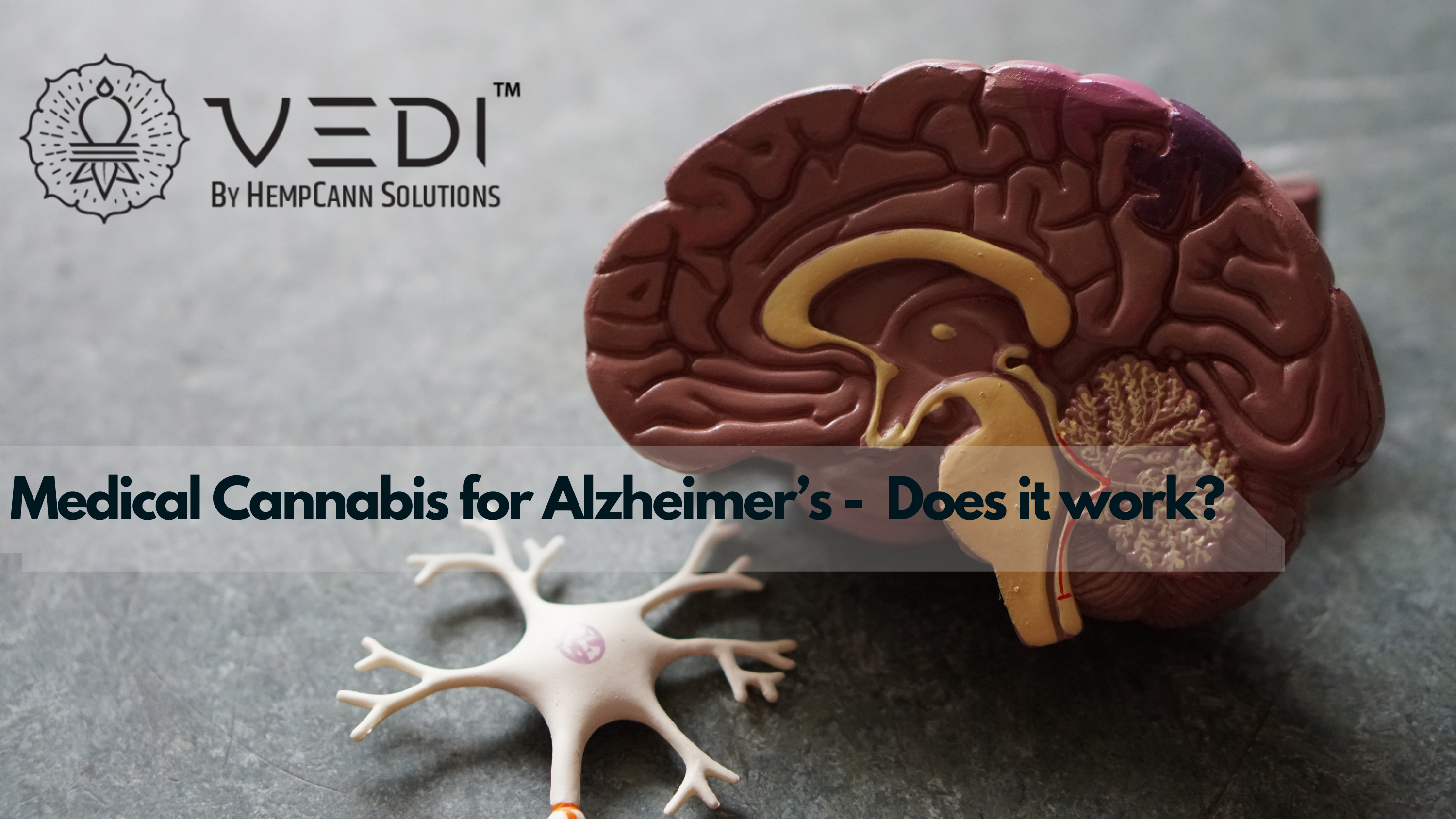 Medical Cannabis for Alzheimer’s - Does it work?