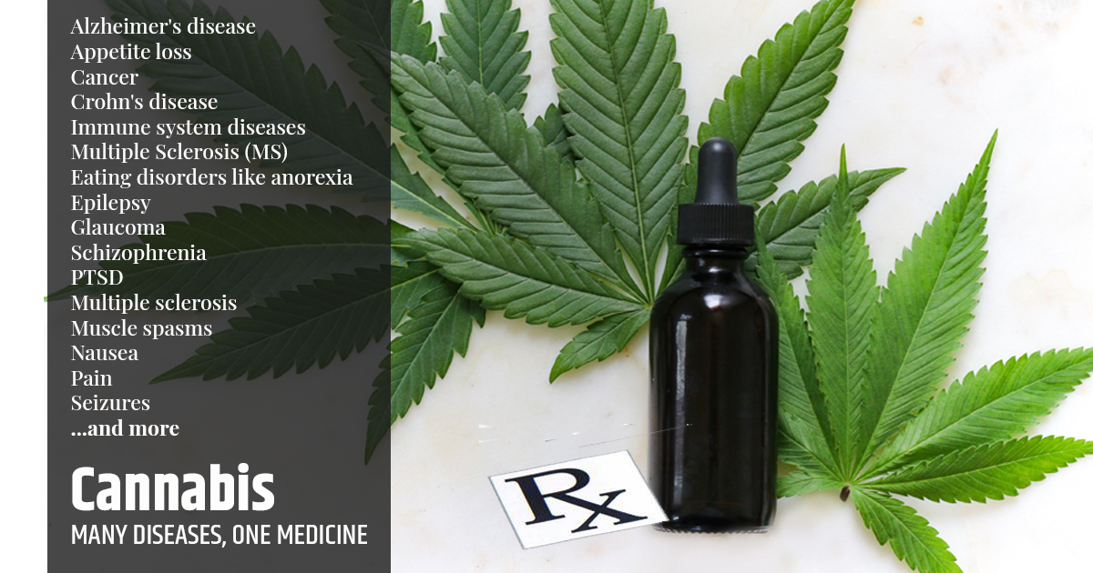 A Complete and Definitive Guide to Medical Cannabis: Everything you need to know about Cannabis dosing and use for various diseases and symptoms